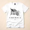 America 250 Flag