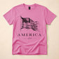 America 250 Flag